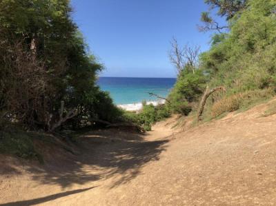 Playa Image