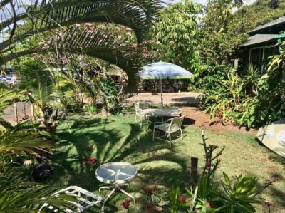 Jardín Image