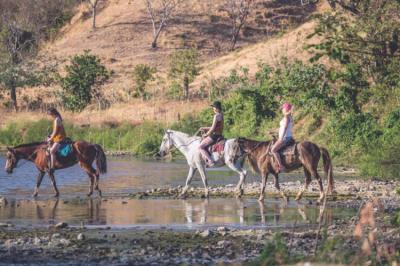 Montar a caballo Image