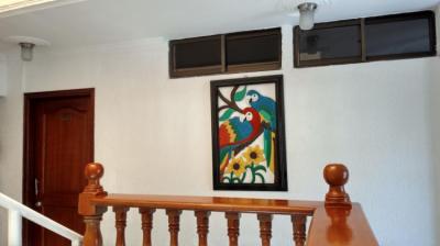 Area social Image