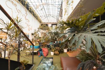 Indoor Garden Image