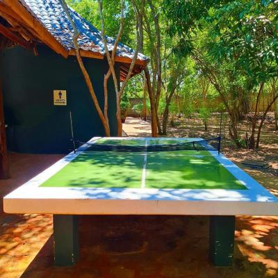 Ping pong Image