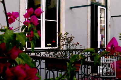 Terraza Image