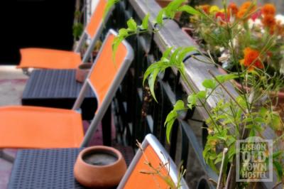 Terraza Image