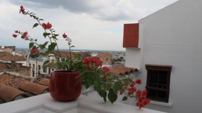 vista Image