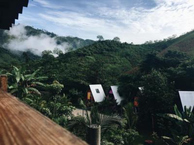 vista Image