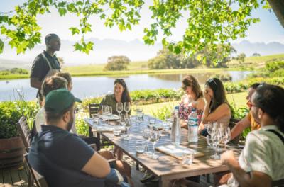 Degustación de Vinos Image