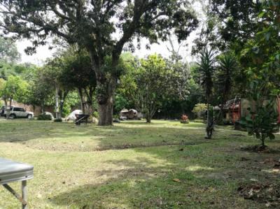 Zona verde Image